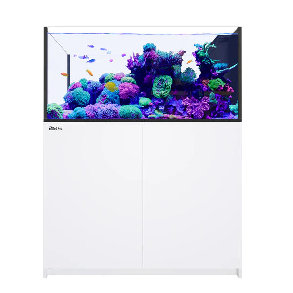 Red Sea REEFER MAX Peninsula 500 G3