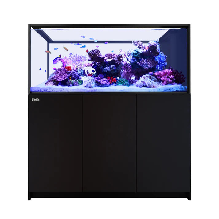 Red Sea REEFER Peninsula S 700 G3