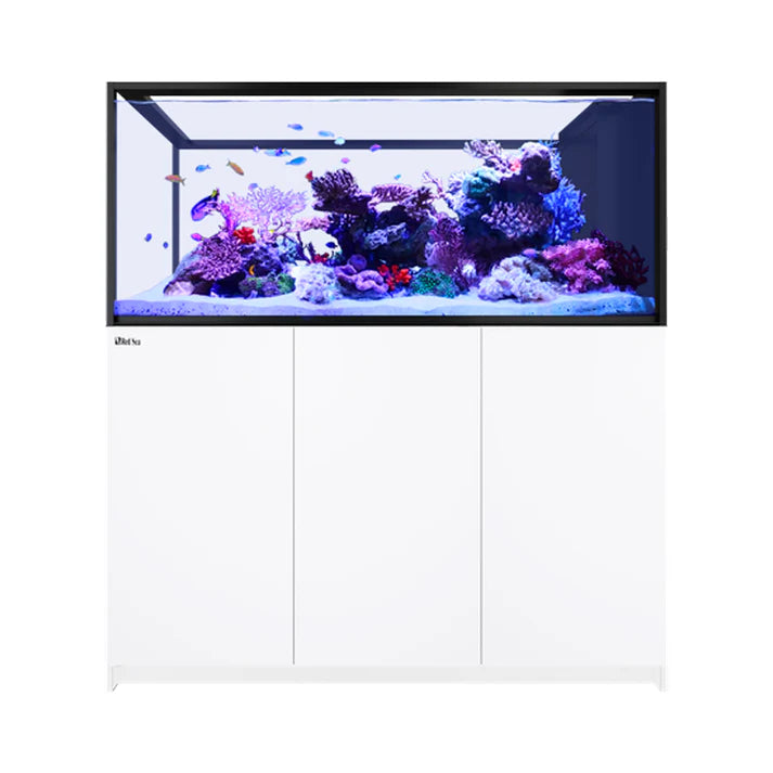 Red Sea REEFER Peninsula S 700 G3