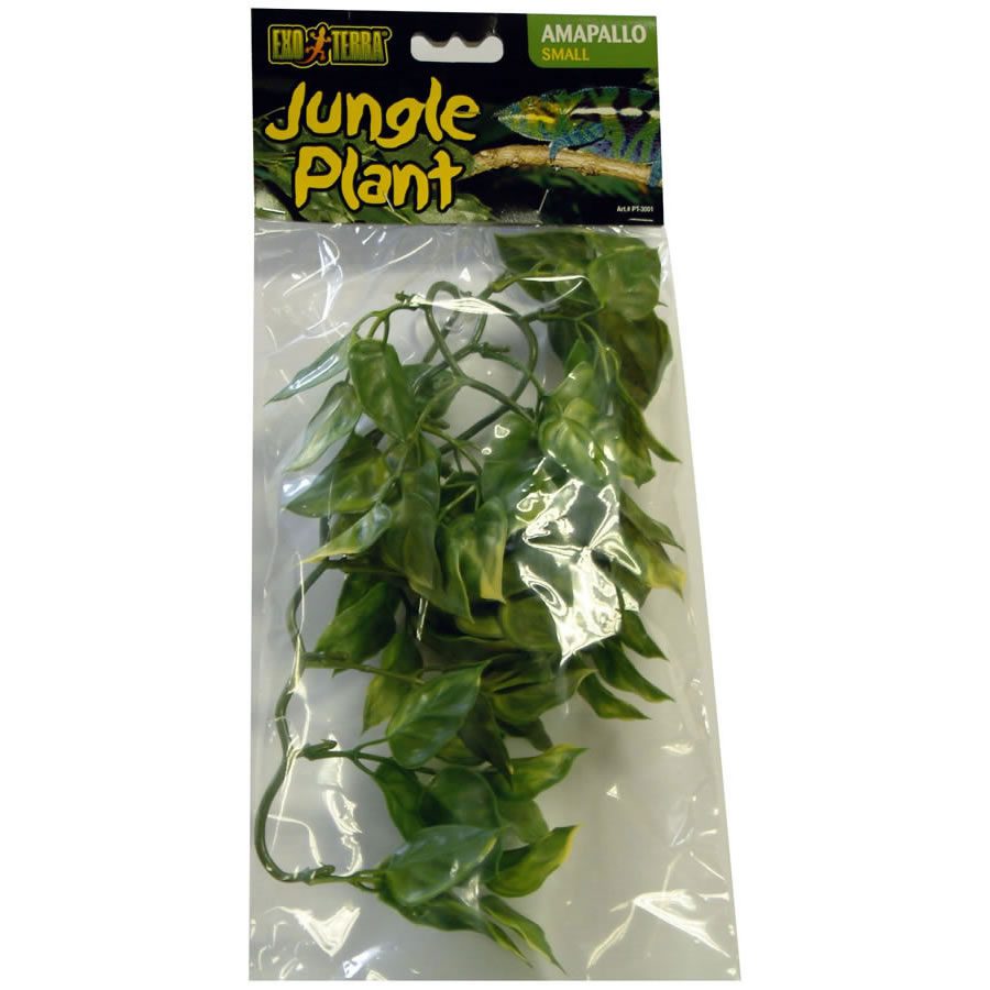 Plastic Plant Amapallo - Small