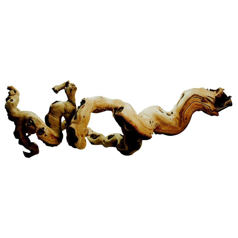 Premium Grapevine - Medium