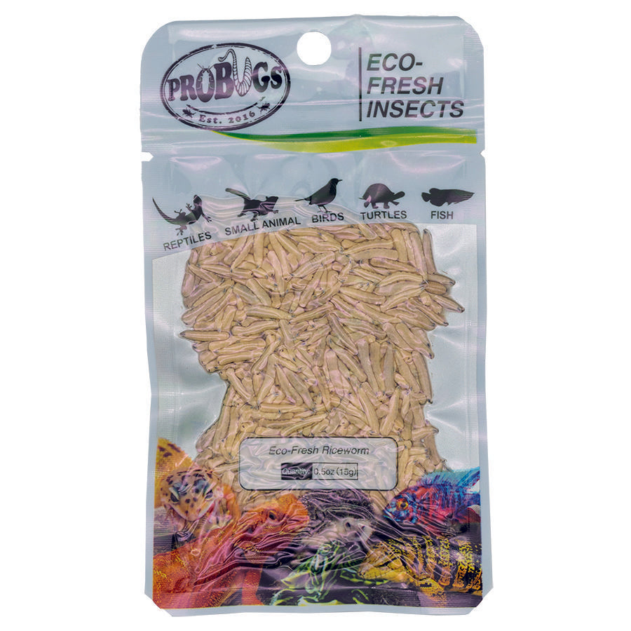 ProBugs 15-pack Eco Fresh Riceworm, 15g