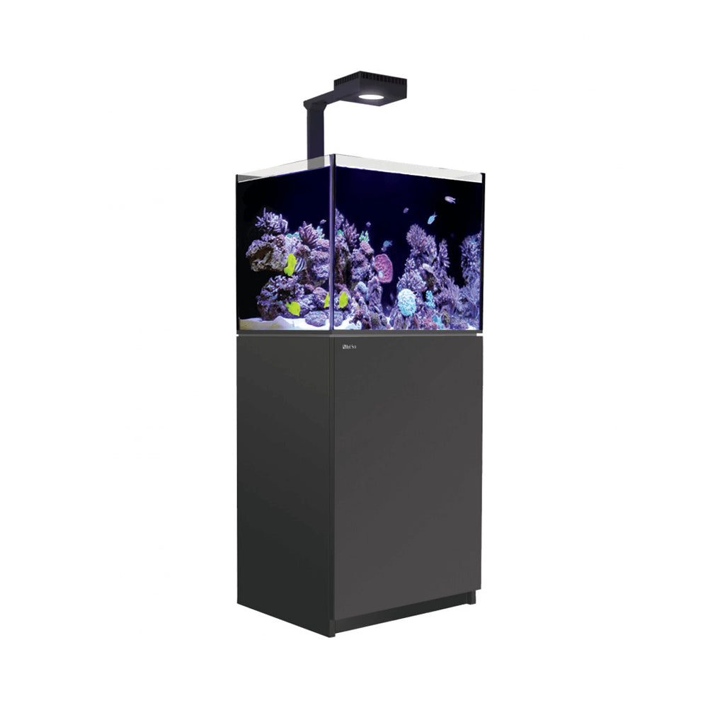 Red Sea Reefer Max G2+ 200 Aquarium (Black)