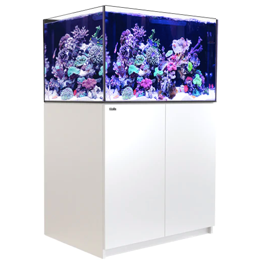 Red Sea Reefer G2+ XL 300 Aquarium (White)