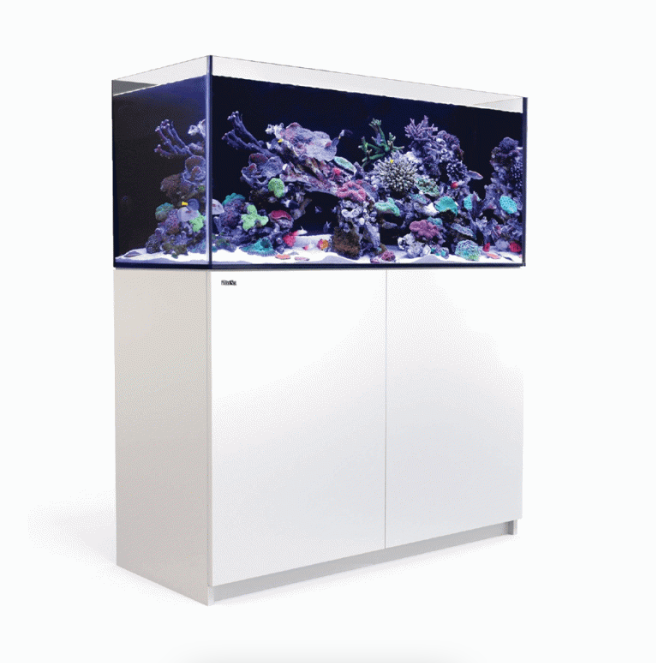 Red Sea Reefer G2+ 350 (White)