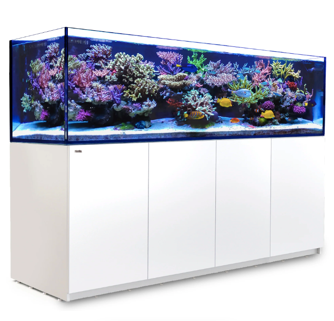 Red Sea Reefer G2+ S-1000 (White)