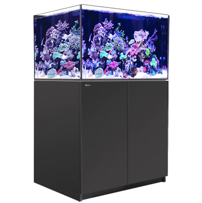 Red Sea Reefer G2+ XL 300 Aquarium (Black)