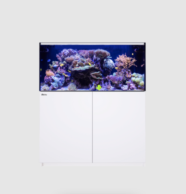 Red Sea Reefer G2+ XL 425 Deluxe ReefLed 160s (White)