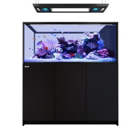 Red Sea Reefer MAX Peninsula S-700 G2+ Aquarium (Black)