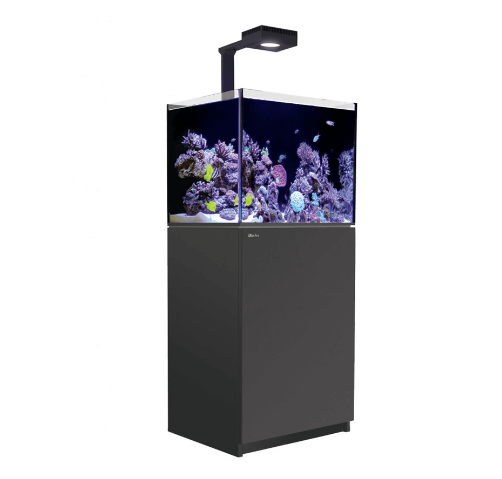 Red Sea Reefer Max G2+ 170 Aquarium (Black)