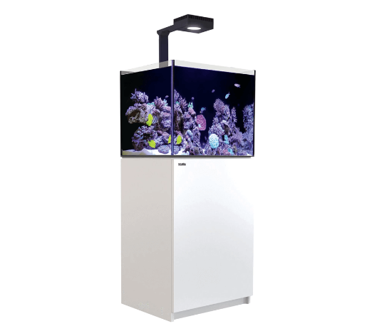 Red Sea Reefer Max G2+ 170 Aquarium (White)