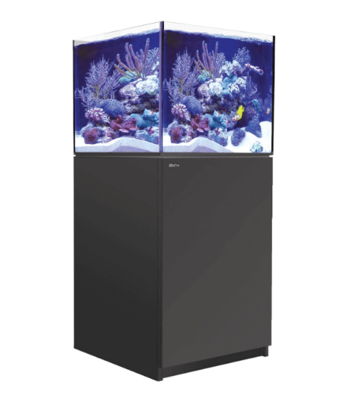 Red Sea Reefer Max G2+ XL 200 Aquarium (Black)