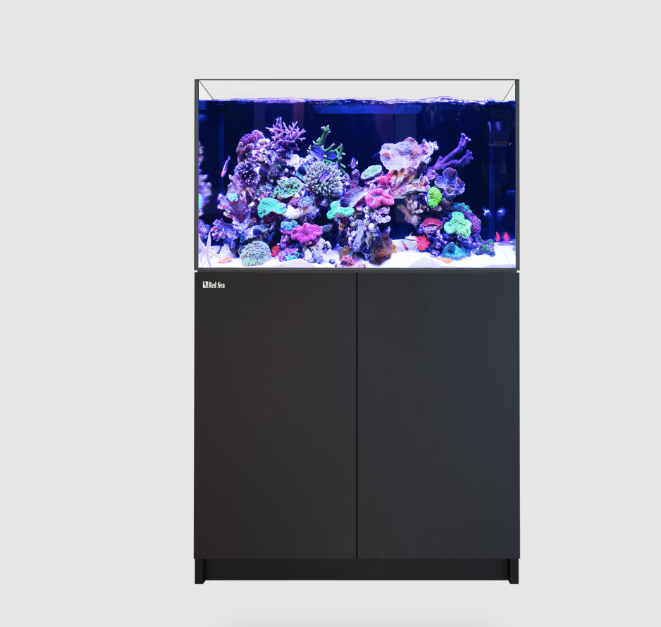 Red Sea Reefer Max G2+ XL 300 Aquarium (Black)