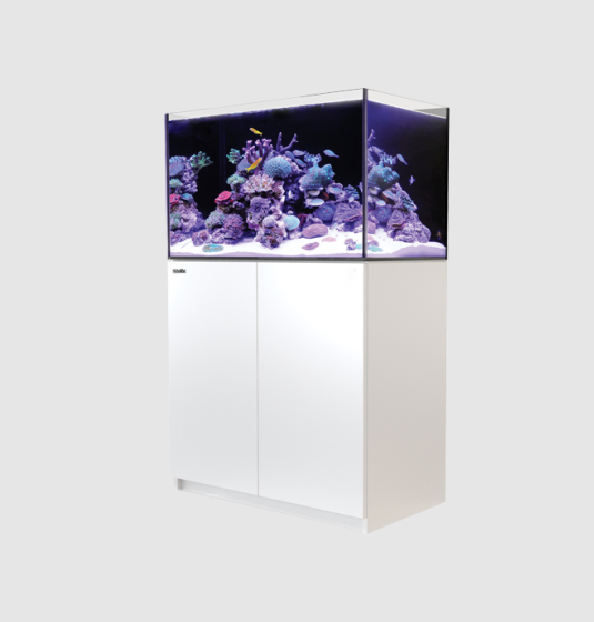 Red Sea Reefer Max G2+ XL 300 Aquarium (White)