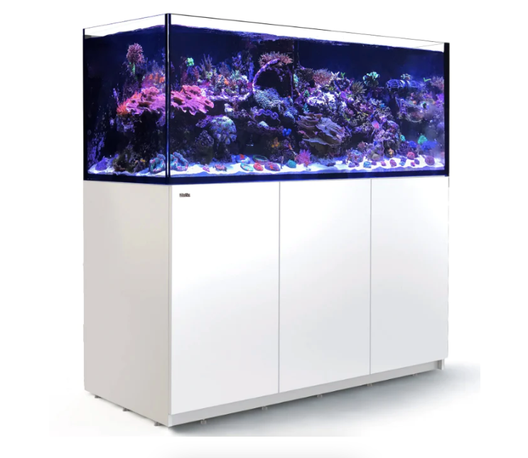 Red Sea Reefer Max G2+ XL 525 Aquarium (White)