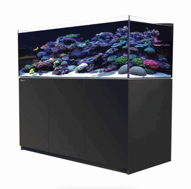 Red Sea Reefer Max G2+ XL 625 Aquarium (Black)