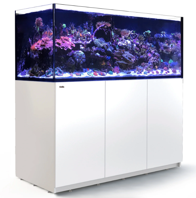 Red Sea Reefer Max G2+ XL 625 Aquarium (White)