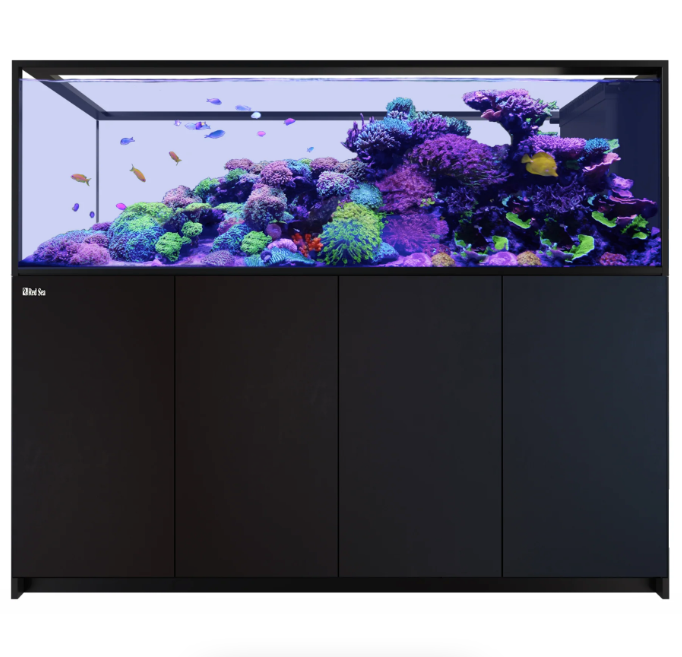 Red Sea Reefer Max Peninsula S-950 G2+ Aquarium (Black)