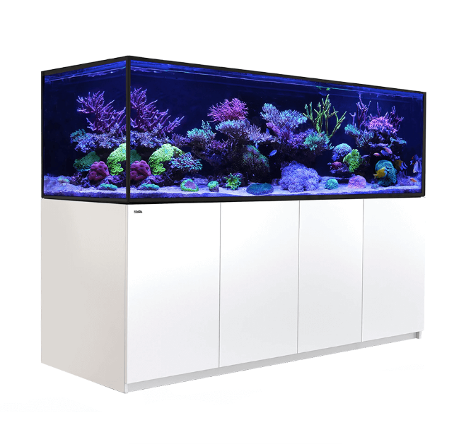 Red Sea Reefer Max S-1000 G2+ (White)