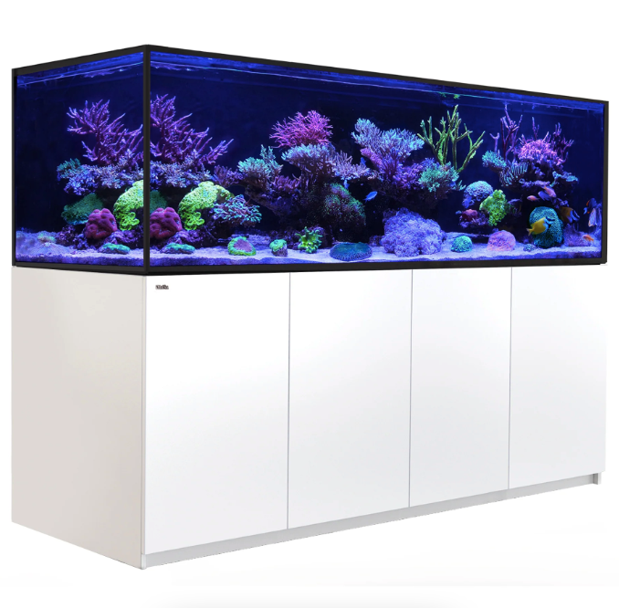 Red Sea Reefer Max S-850 (White)