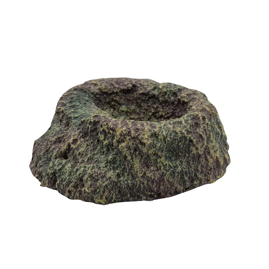 RepStyle Rainforest Dish - Small