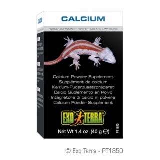 Reptile Calcium 40g
