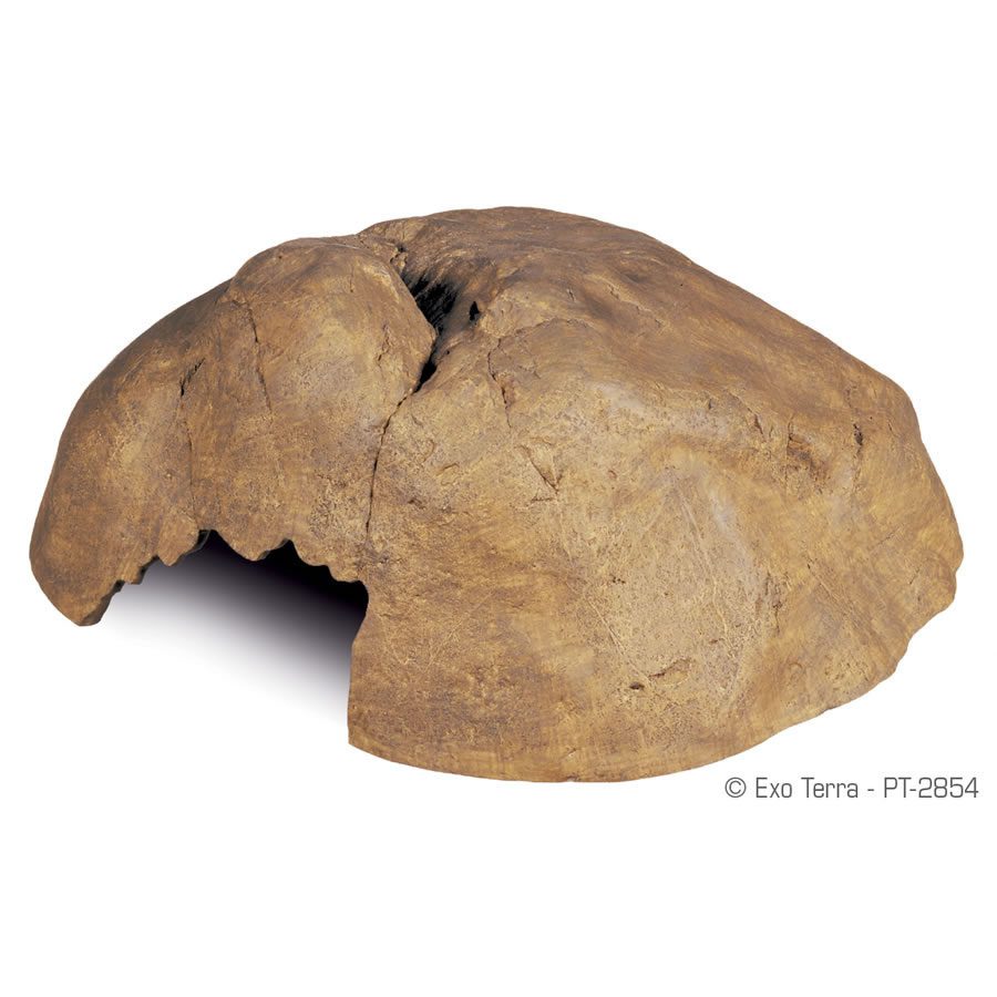 Reptile Cave - X-Large