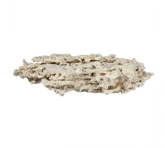 Seeded Live Marco Shelf Rock (Per KG)