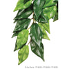Silk Plant Ficus - Medium