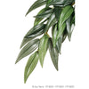 Silk Plant Ruscus - Medium