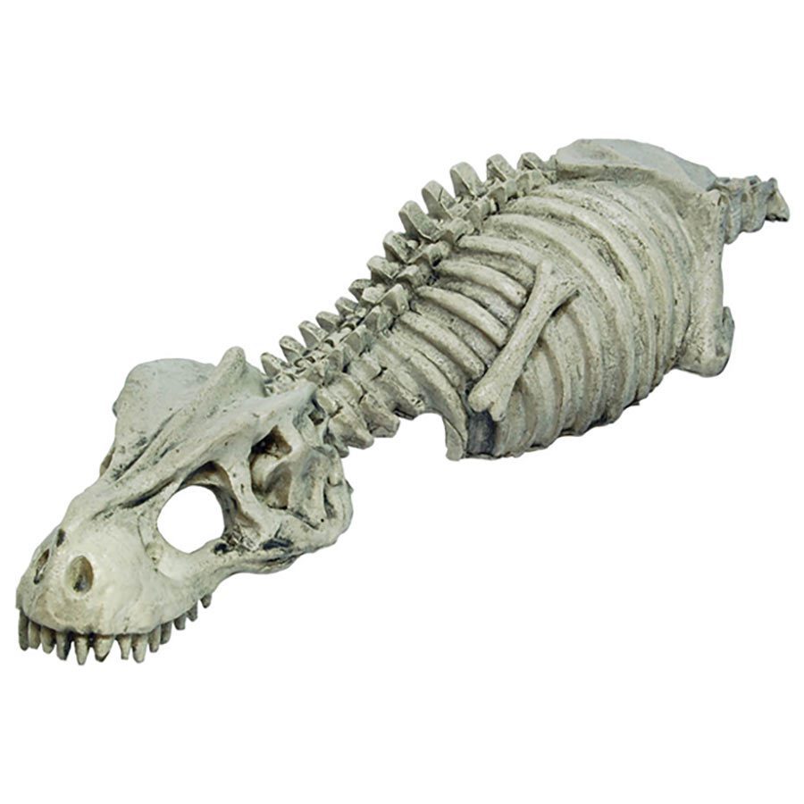 Skeleton Dinosaur