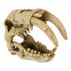 Skull Saber Tooth Tiger 15.5×8.5×11.5cm