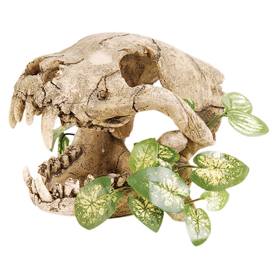 Skull with Silk Plant