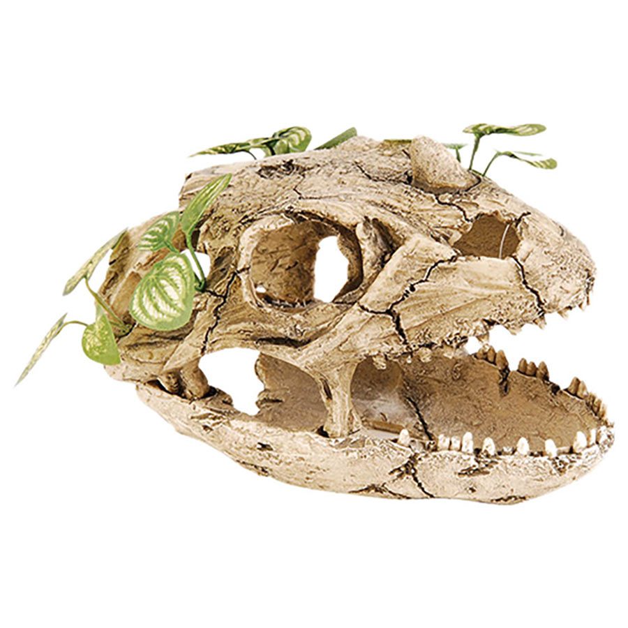 Skull with Silk Plant