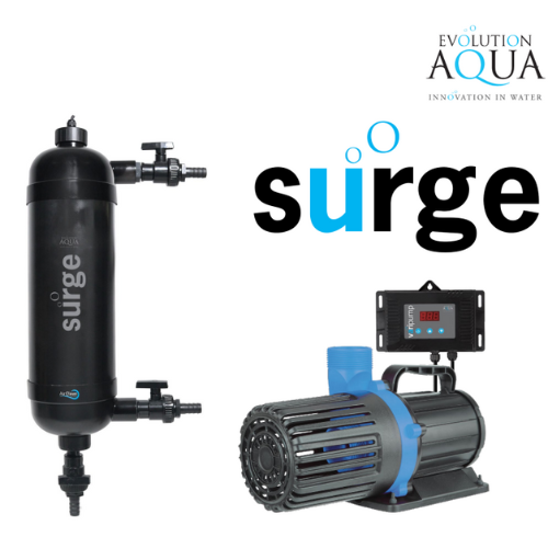Evolution Aqua Surge Filter + 10K VariPump BUNDLE
