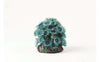 TMC Natureform Coral Button Polyp Colony Blu Blue Palythoa sp.7.5 x 7 x 8cm