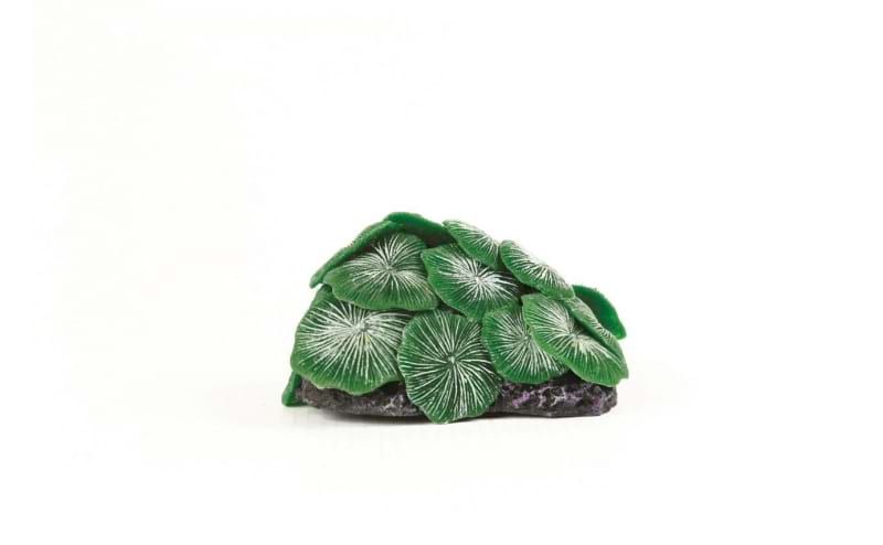 TMC Natureform Coral Mushroom Colony Green Discosoma sp.9.5x7x4.5cm