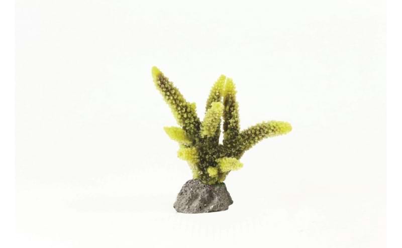 TMC Natureform Coral Staghorn Yellow Acropora sp.8x6.5x8cm