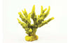 TMC Natureform Coral Staghorn Branch Yellow/Purple Acropora sp. 20x16x16cm