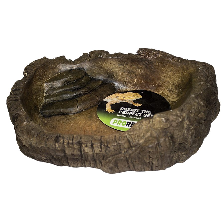 Terrarium Bowl Wood X-Large
