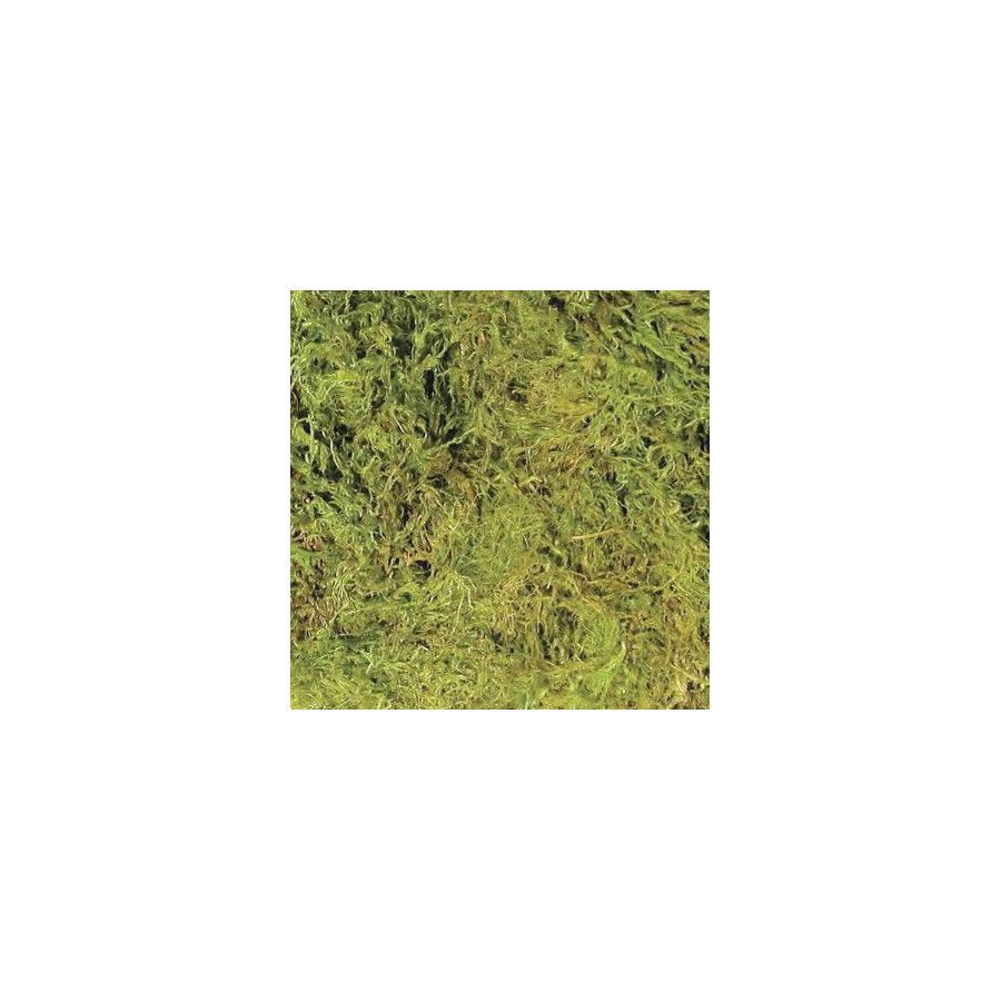 Terrarium Moss, Large 3.28L