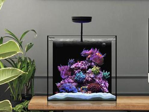 Waterbox Cube 20