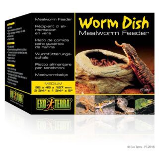 Worm Dish Mealworm Feeder