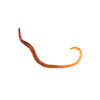 Worms Medium (Dendrobaena) pre-pack 15