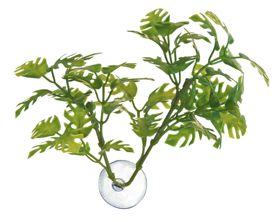 Zoo-Med Bolivian Croton - Large