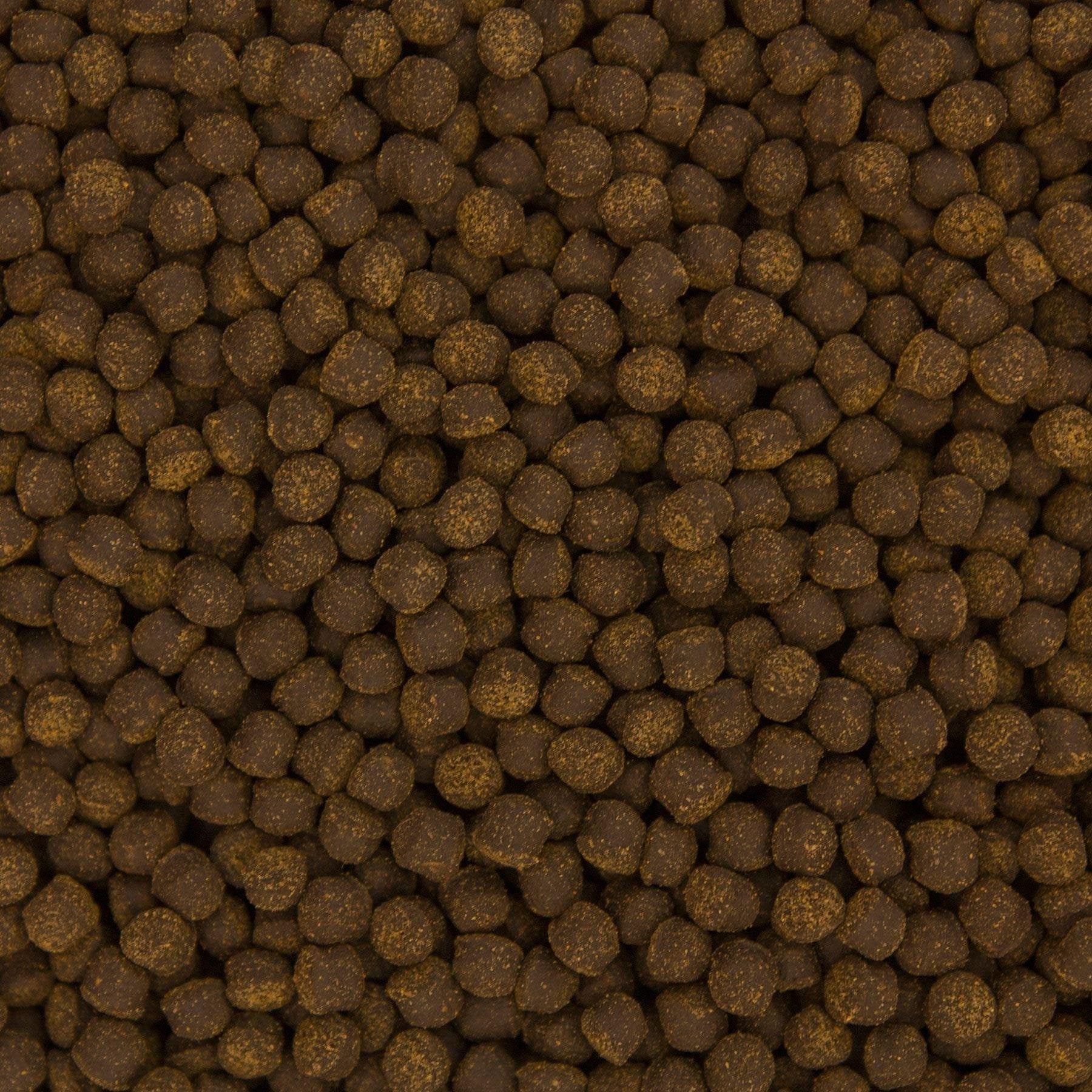 Ocean Nutrition Cichlid Omni Freshwater Pellet Medium 200g