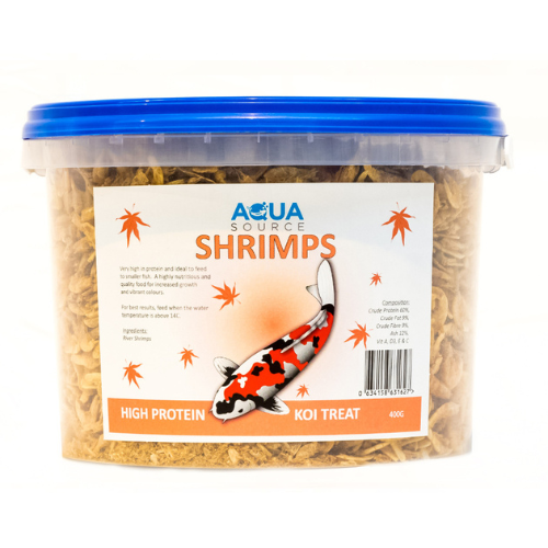 Large Shrimp 400g