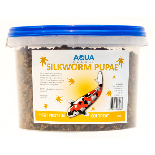 Silkworm Pupae 800g