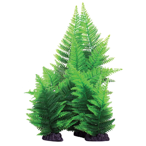 Hugo Kamishi Broad Leaf Fern Green Aquarium Plant 40cm