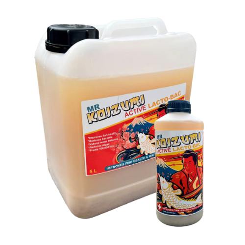 Mr Koizumi - LactoBac